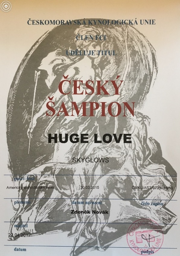 Český šampion - Skyglowes HUGE LOVE